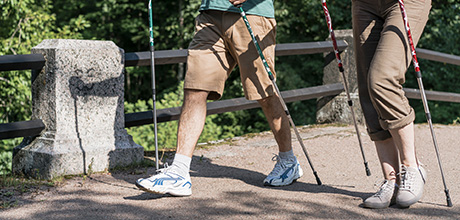 ノルディックウォーキング教室のイメージ写真