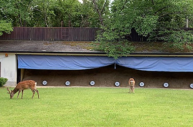 ロート奈良弓道場（奈良市弓道場）のイメージ写真2